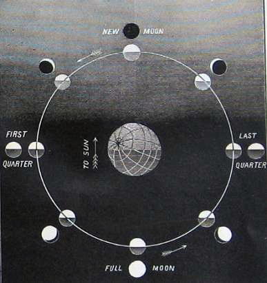 The Sciences by Holden