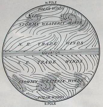 The Sciences by Holden